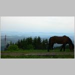 p1010252 [800x600].jpg